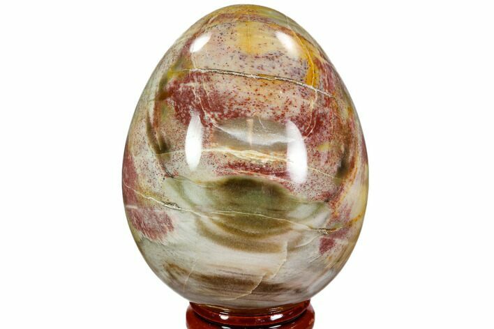 Colorful, Polished Petrified Wood Egg - Triassic #107384